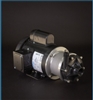 Bơm Hóa Chất Dẫn Động Từ March Pump TE-6P-MD 1&3 Ph